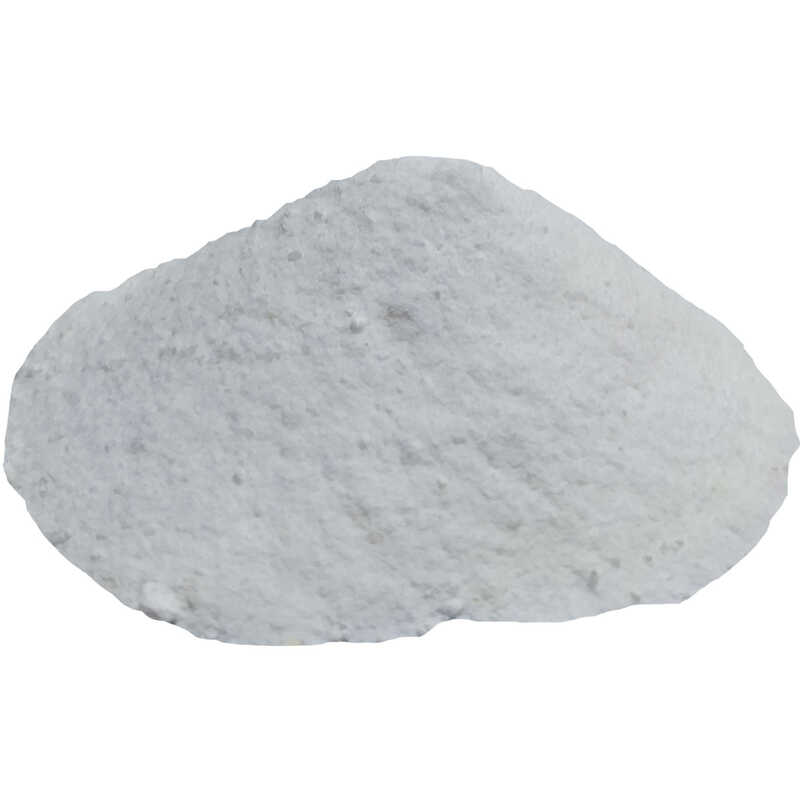Lisinya214 Salça Domates Turşu Koruyucu Toz Salisilik Asit 100 Gr Paket