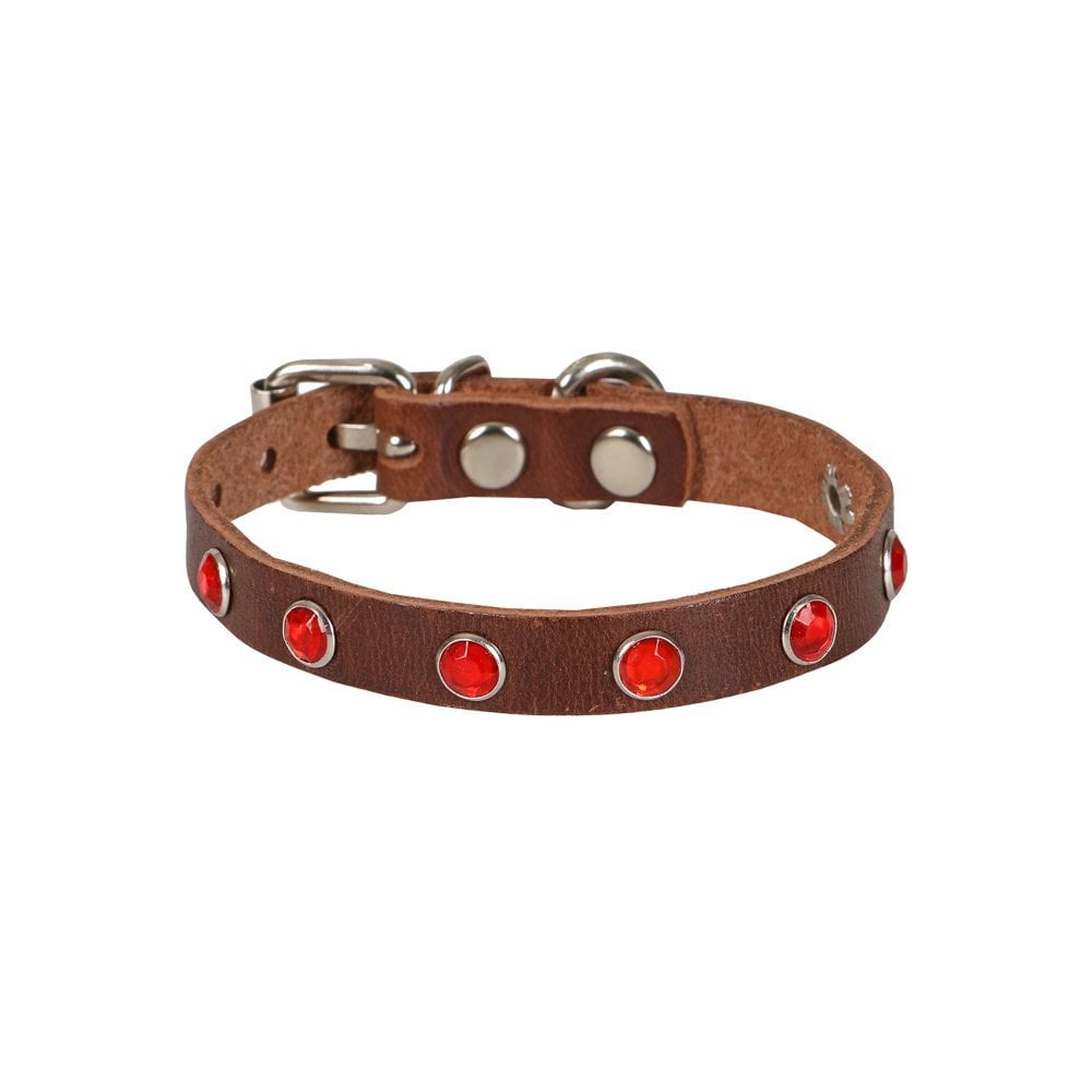 Lisinya205  Taşlı Kedi ve Yavru Köpek Tasması 1,2x26 cm Kahverengi Large