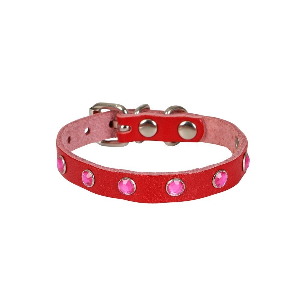 Lisinya205  Taşlı Kedi ve Yavru Köpek Tasması 1,2x26 cm Kırmızı Large