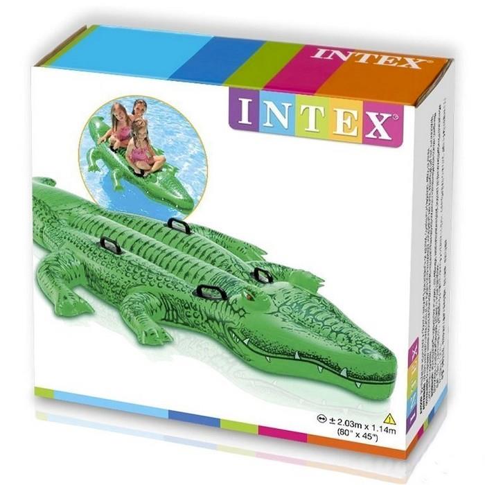 58562 - İNTEX TİMSAH 203 CM (Lisinya)