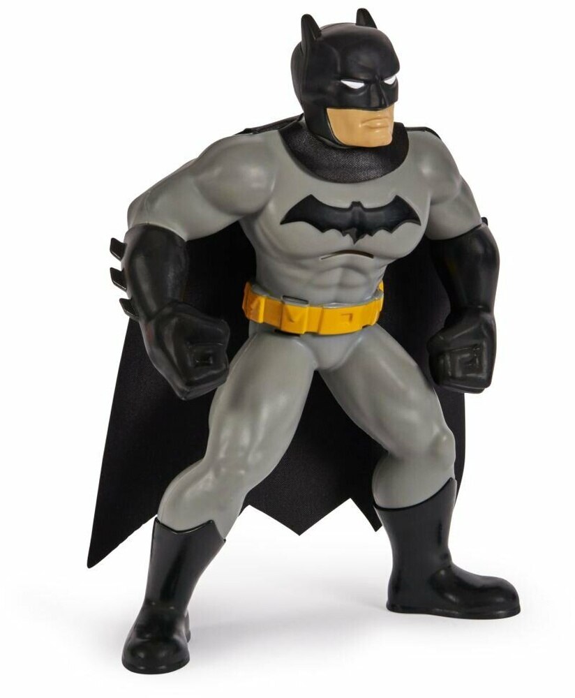 Batman Yüzme Arkadaşları - 6067008 (Lisinya) Batman Yüzme Arkadaşları - 6067008 (Lisinya)