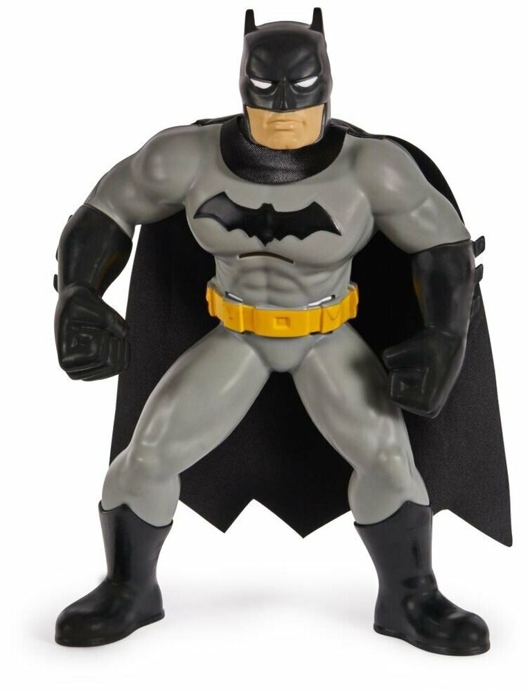 Batman Yüzme Arkadaşları - 6067008 (Lisinya) Batman Yüzme Arkadaşları - 6067008 (Lisinya)