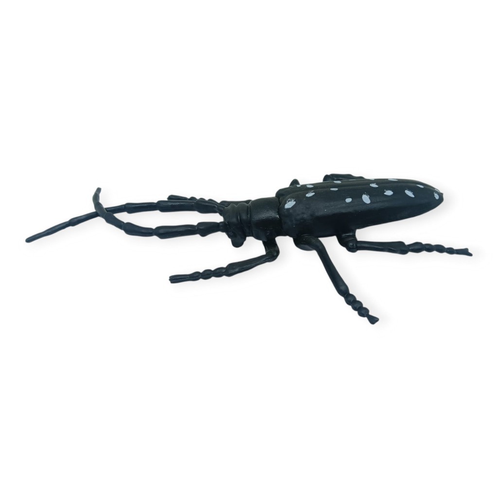 Böcek Figürleri - Gerçekçi Figür - Turunçgil Uzun Boynuzlu Böceği 18 cm (Lisinya)