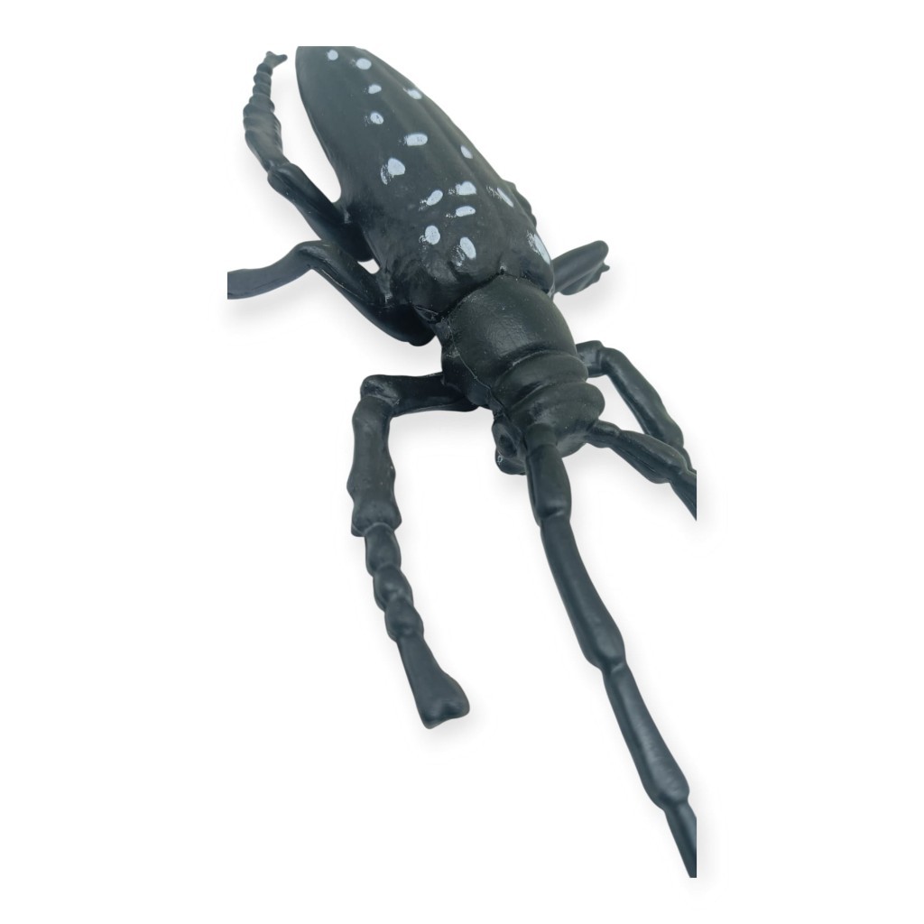 Böcek Figürleri - Gerçekçi Figür - Turunçgil Uzun Boynuzlu Böceği 18 cm (Lisinya)