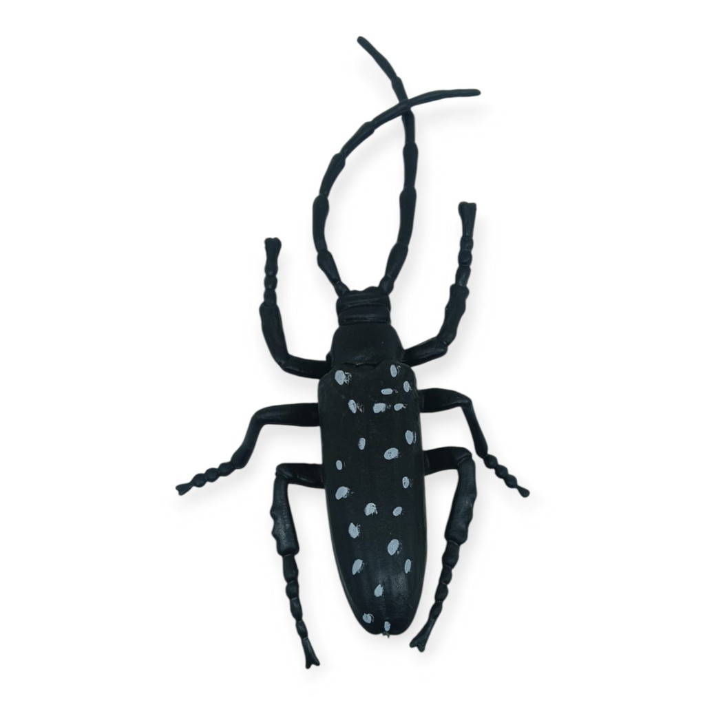 Böcek Figürleri - Gerçekçi Figür - Turunçgil Uzun Boynuzlu Böceği 18 cm (Lisinya)