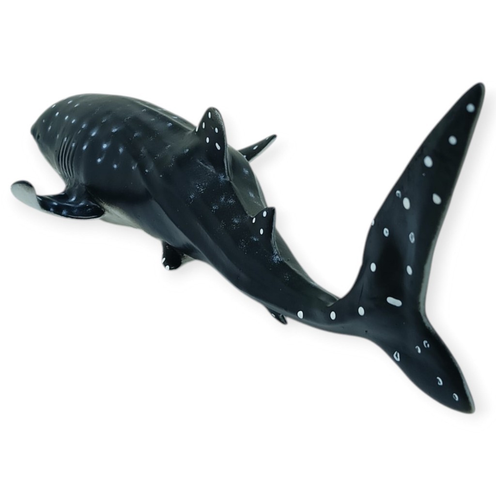 Deniz Hayvanları Serisi - Balina Köpekbalığı 29 cm (Lisinya)