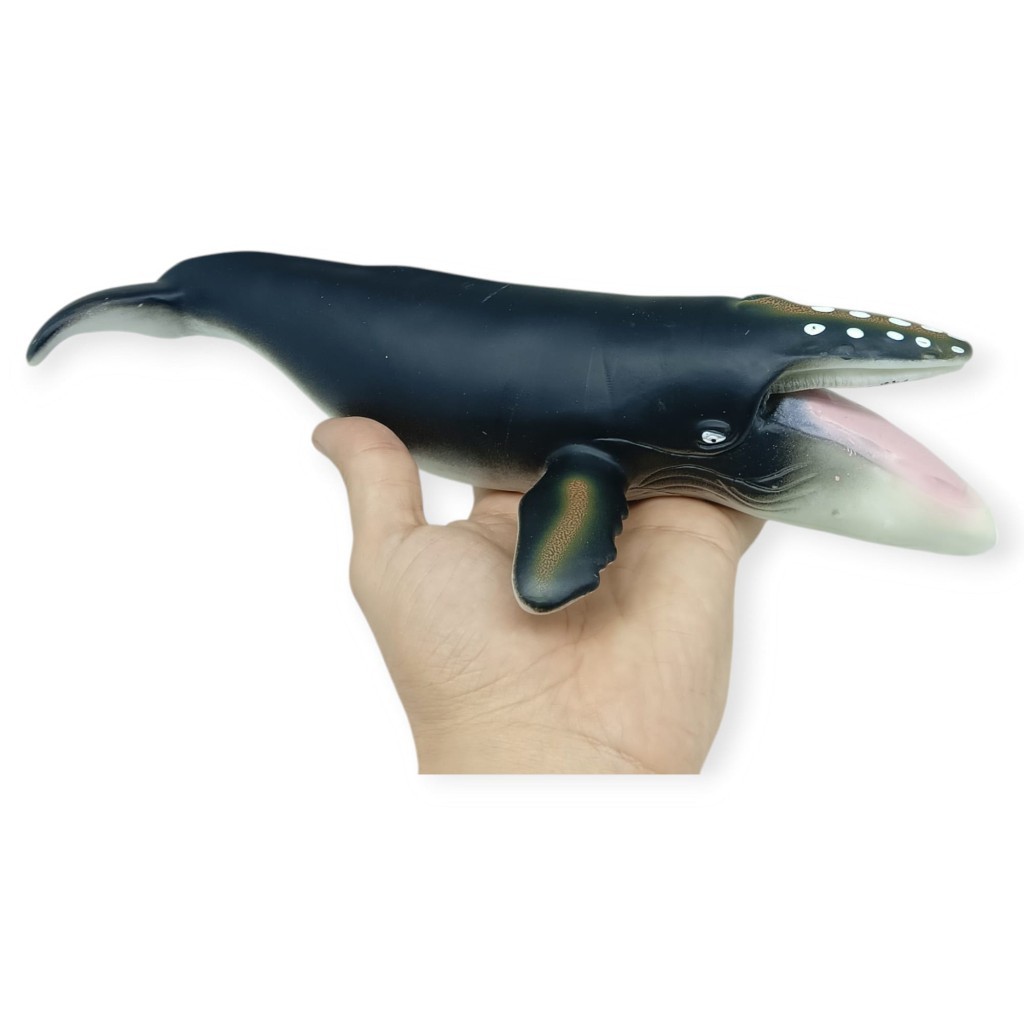 Deniz Hayvanları Serisi - Kambur Balina 30 cm (Lisinya)