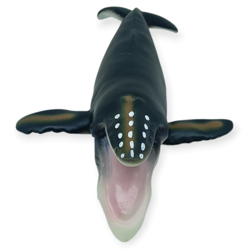 Deniz Hayvanları Serisi - Kambur Balina 30 cm (Lisinya)