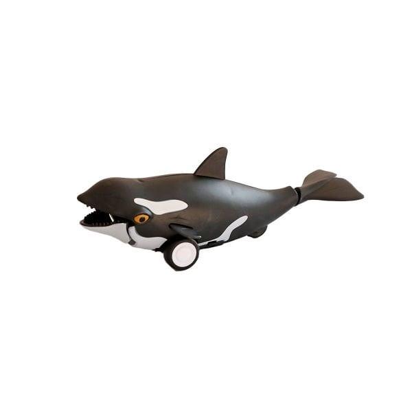 H-35 - SÜRTMELİ DENİZ HAYVANLARI 16'LI STAND (Lisinya)