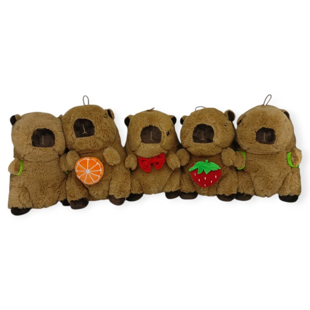 PL50120 - PELUŞ KAPİBARA 25 CM 4 AST (Lisinya)