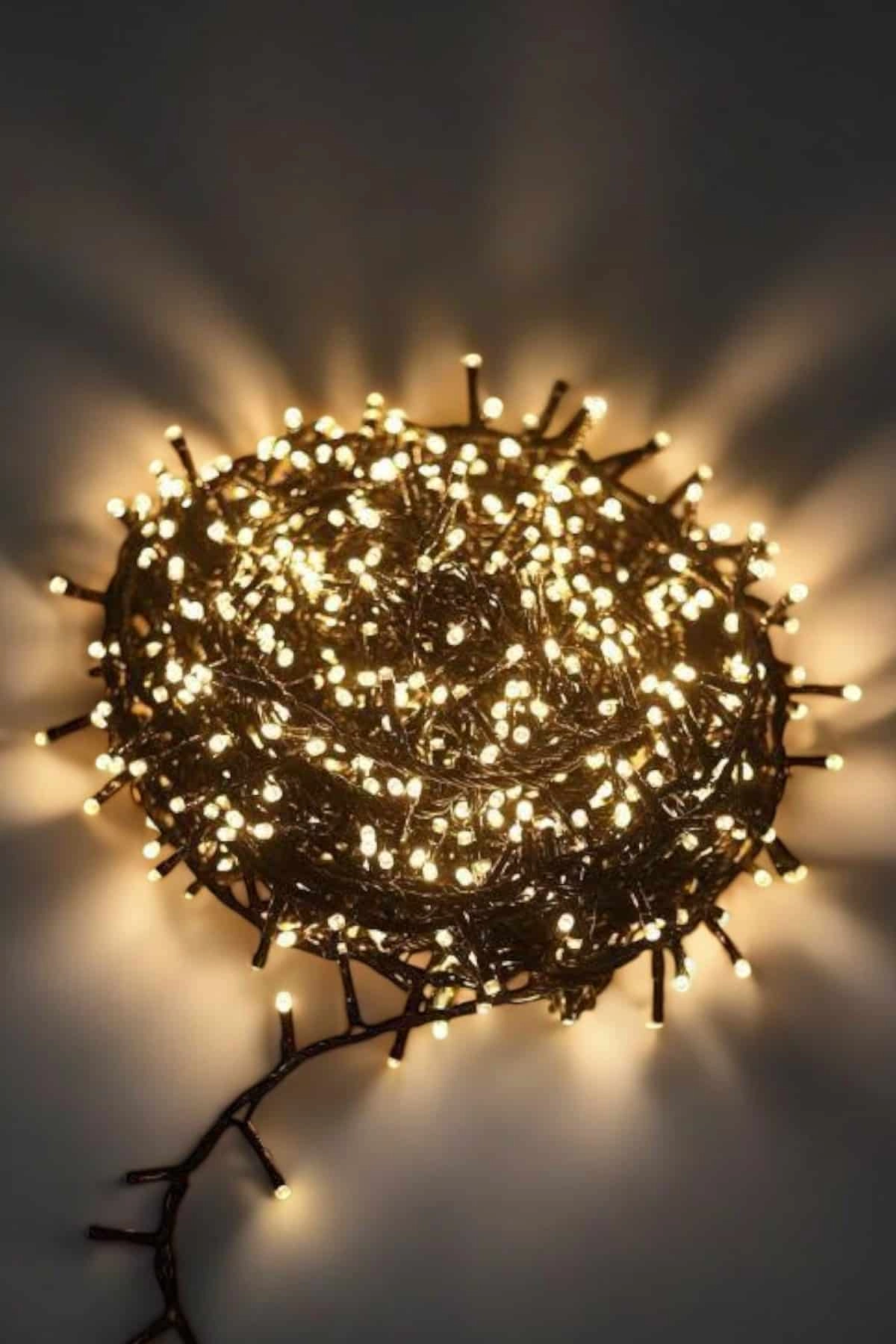 10 Metre Gün Işığı Led Işık Hafif Ve Taşınabilir Özel Günler İçin ( Lisinya )