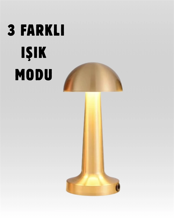 %100 Kademeli Ayarlanabilir Işık – Usb Şarjlı Masa Lambası ( Lisinya ) %100 Kademeli Ayarlanabilir Işık – Usb Şarjlı Masa Lambası ( Lisinya )
