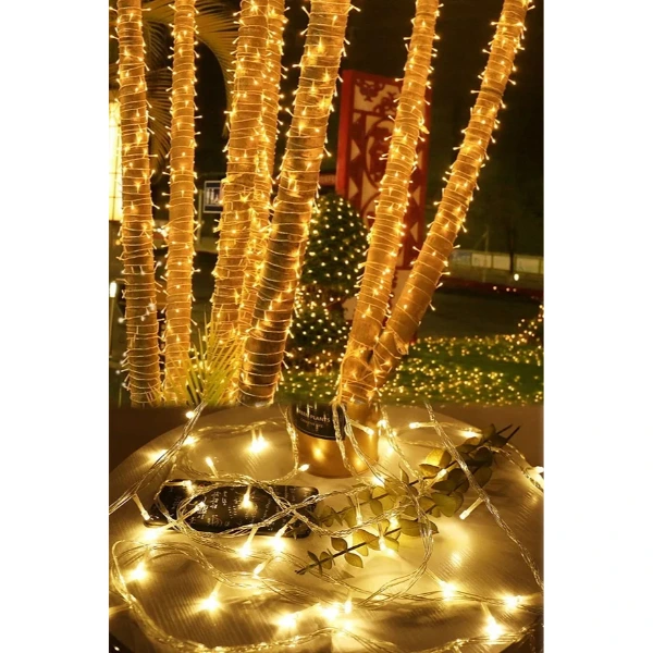 10m Dış Mekan Led Işık ( Lisinya )