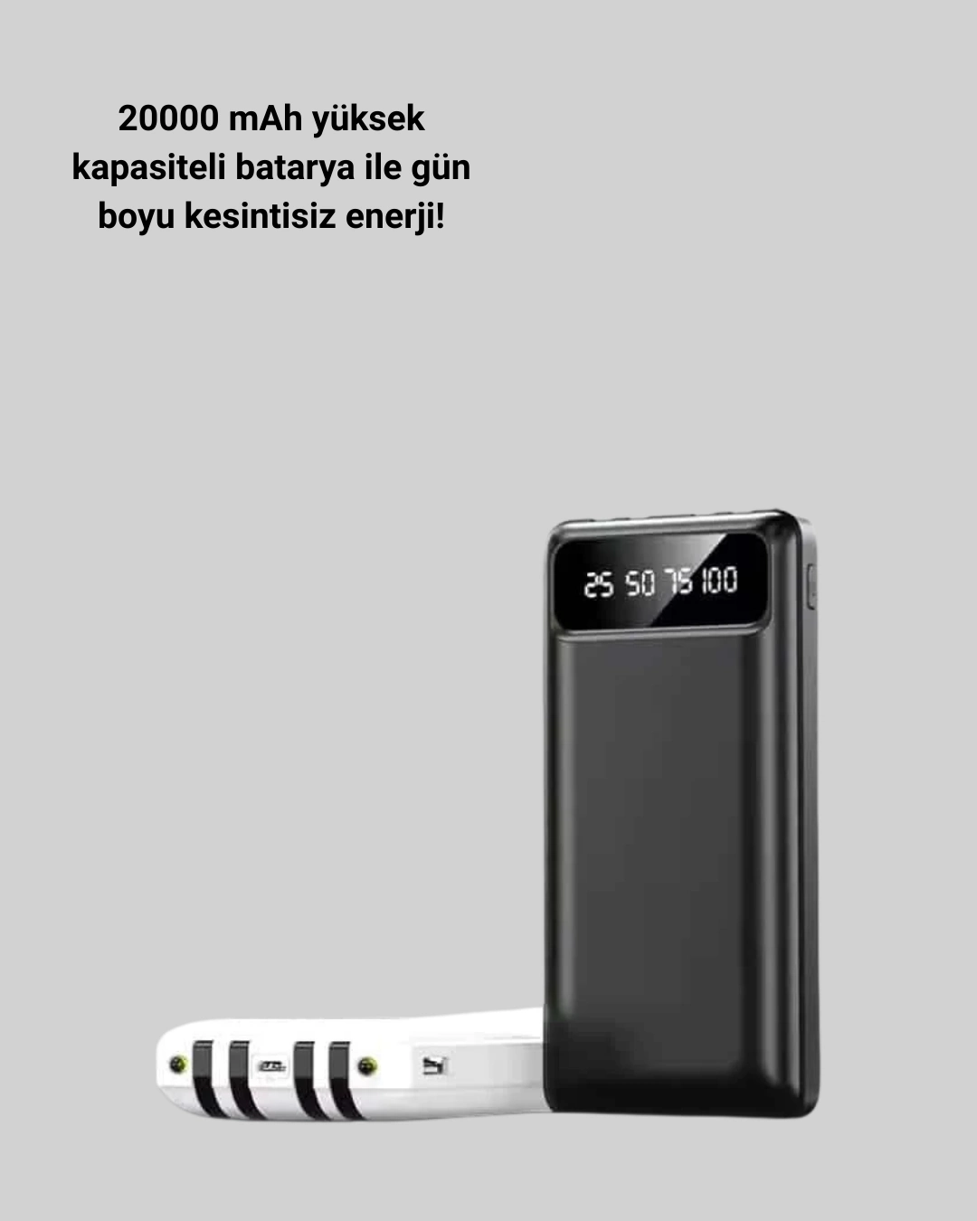 20.000mah Taşınabilir Powerbank Pd Teknolojili Çift Usb Çıkışlı ( Lisinya )