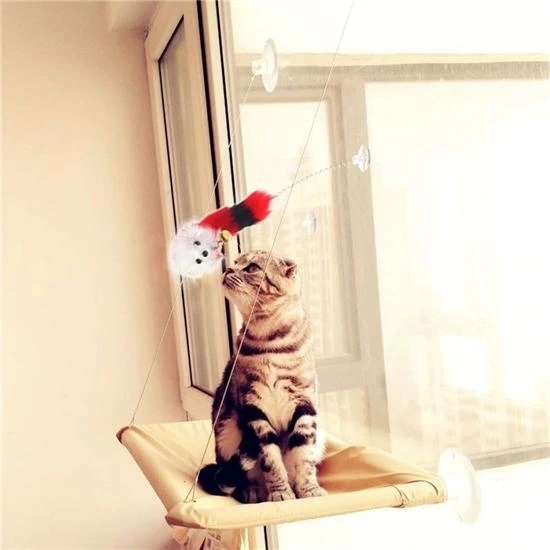 2li Vantuzlu Fareli Tüylü Hareketli Çanlı Ve Esneyen Eğlenceli Peluş Kedi Oyuncağı ( Lisinya ) 2li Vantuzlu Fareli Tüylü Hareketli Çanlı Ve Esneyen Eğlenceli Peluş Kedi Oyuncağı ( Lisinya )