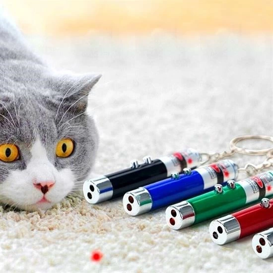 3 Fonksiyonlu Kırmızı Beyaz Işıklı Led Lazer Kedi Köpek Oyuncak Anahtarlık ( Lisinya ) 3 Fonksiyonlu Kırmızı Beyaz Işıklı Led Lazer Kedi Köpek Oyuncak Anahtarlık ( Lisinya )
