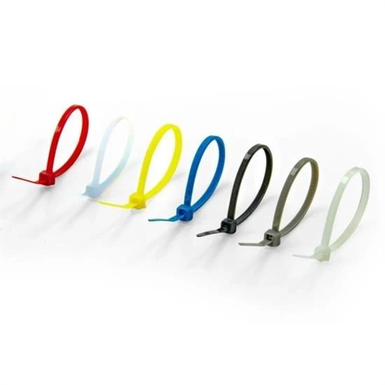 30 Parça Plastik Kablo Kelepçe Seti Kablo Düzenleyici Bağlama Bantları ( Lisinya ) 30 Parça Plastik Kablo Kelepçe Seti Kablo Düzenleyici Bağlama Bantları ( Lisinya )