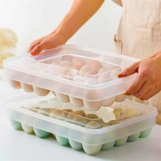 30lu Yumurta Saklama Kabı ( Lisinya ) 30lu Yumurta Saklama Kabı ( Lisinya )