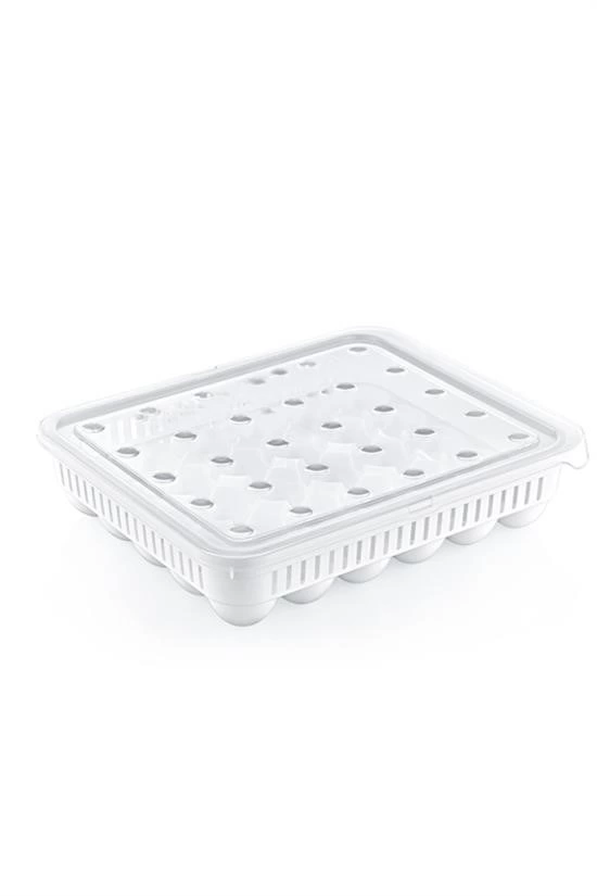 30lu Yumurta Saklama Kabı ( Lisinya ) 30lu Yumurta Saklama Kabı ( Lisinya )