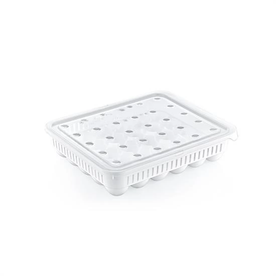 30lu Yumurta Saklama Kabı ( Lisinya ) 30lu Yumurta Saklama Kabı ( Lisinya )