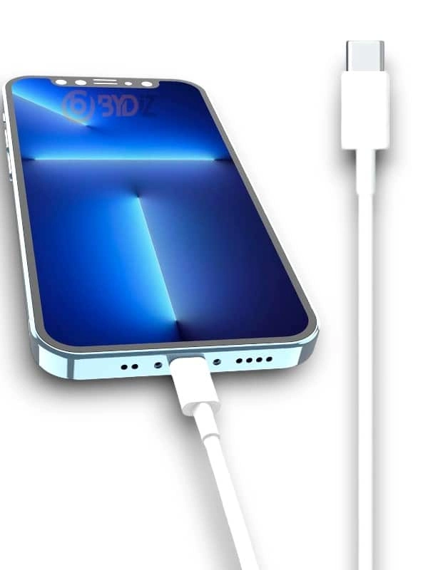 30w Şarj Kablosu ( Lisinya )