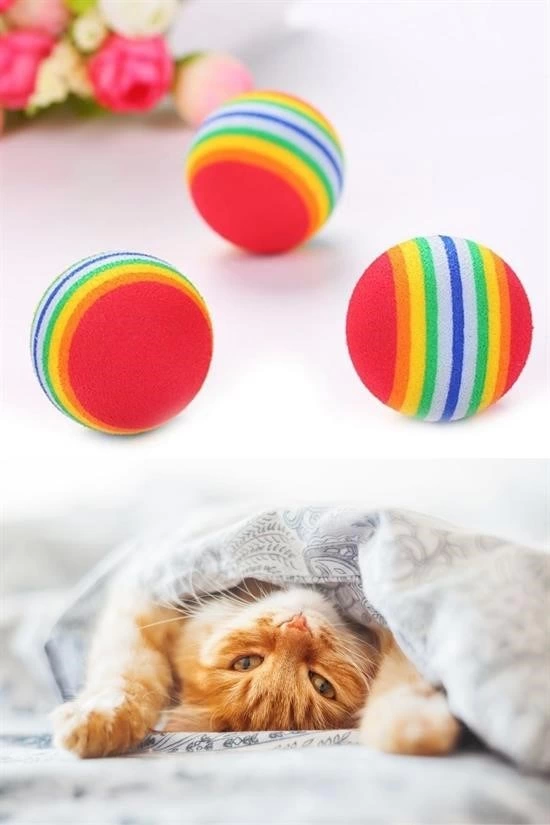 ® 3lü Gökkuşağı Sünger Kedi Köpek Çiğneme Oyun Topu 4,2 Cm ( Lisinya )