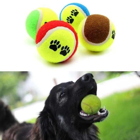 3lü Renkli Desenli Tenis Topu Kedi Köpek Oyuncağı ( Lisinya ) 3lü Renkli Desenli Tenis Topu Kedi Köpek Oyuncağı ( Lisinya )