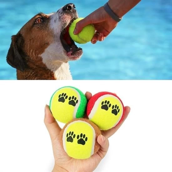 3lü Renkli Desenli Tenis Topu Kedi Köpek Oyuncağı ( Lisinya ) 3lü Renkli Desenli Tenis Topu Kedi Köpek Oyuncağı ( Lisinya )