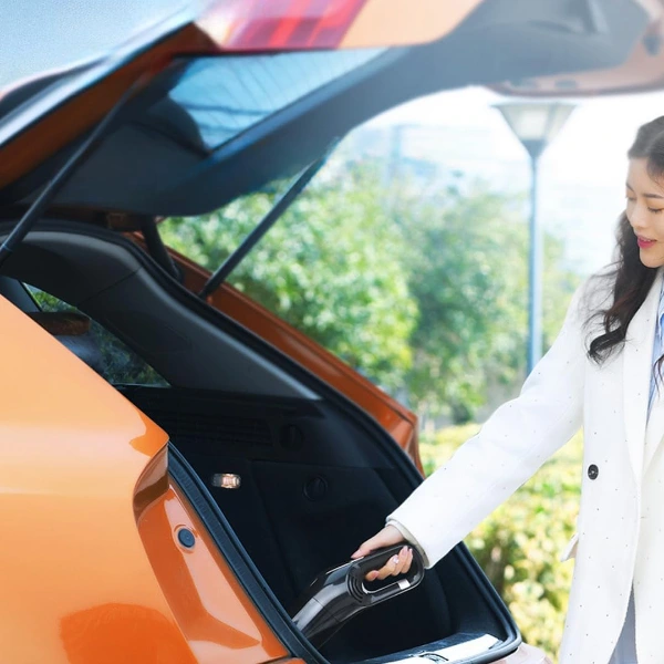 5 Başlıklı Araç Süpürgesi ( Lisinya ) 5 Başlıklı Araç Süpürgesi ( Lisinya )