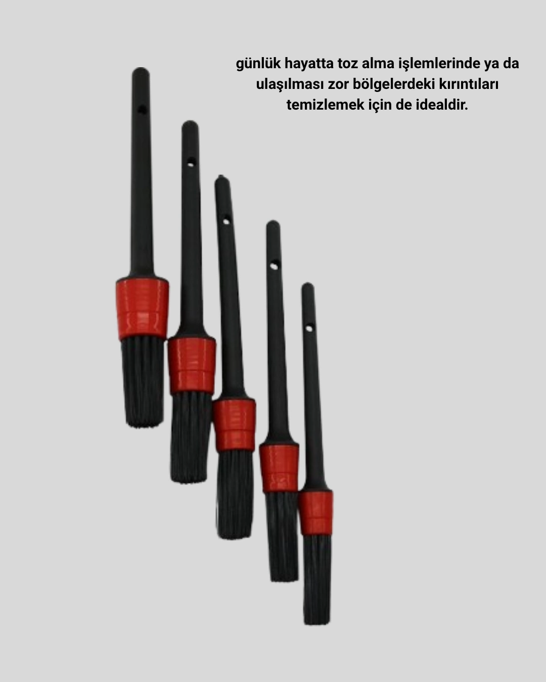 5 Parça Detay Temizlik Fırçası Seti Jant Motor Havalandırma İç Dış Temizlik ( Lisinya ) 5 Parça Detay Temizlik Fırçası Seti Jant Motor Havalandırma İç Dış Temizlik ( Lisinya )