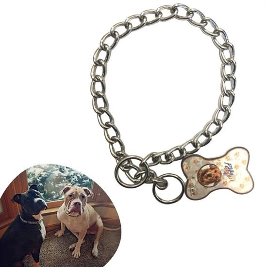 65 Cm Uzunlukta Zincir Model Köpek İçin Boyun Tasması ( Lisinya ) 65 Cm Uzunlukta Zincir Model Köpek İçin Boyun Tasması ( Lisinya )