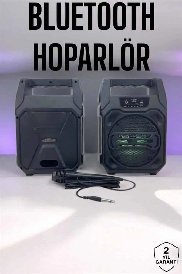 6.5 İnç Kablosuz Hoparlör Bluetooth Bağlantılı Yüksek Ses Kaliteli ( Lisinya )