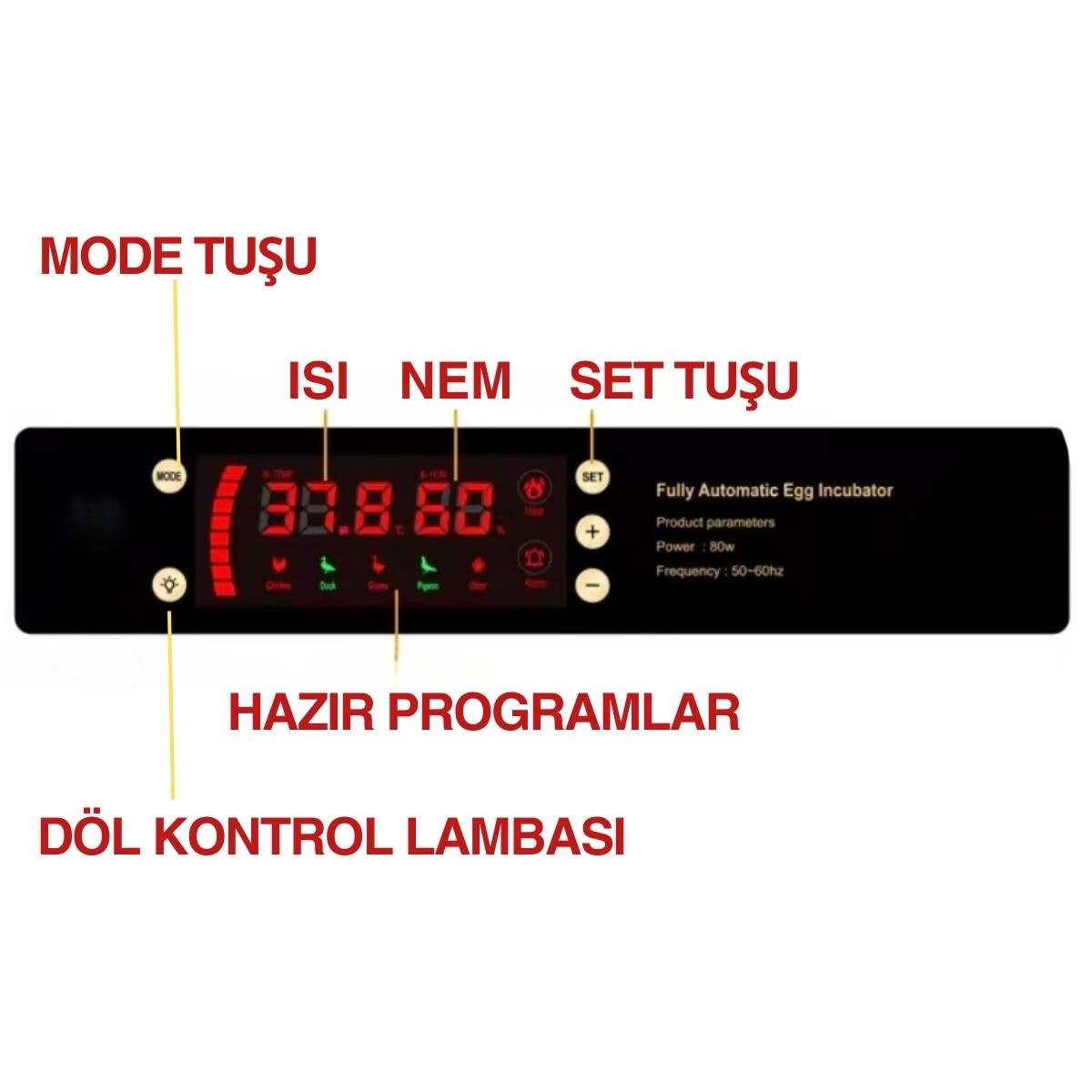 120 Yumurta Kapasiteli Tam Otomatik Kuluçka Makinesi - Civciv, Kaz, Hindi Ve Ördek Yetiştiriciliği Epo-w120 Yedek Motorlu ( Lisinya )