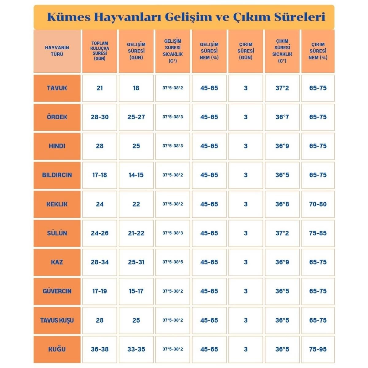 120 Yumurta Kapasiteli Tam Otomatik Kuluçka Makinesi - Civciv, Kaz, Hindi Ve Ördek Yetiştiriciliği Epo-w120 Yedek Motorlu ( Lisinya )