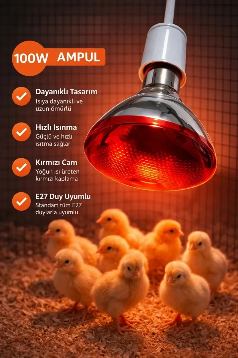 100W Isıtıcı Ampul Kırmızı Isı Lambası Civciv Kümes Kuluçka E27 Duy Isıtma Ampulü ( Lisinya ) 100W Isıtıcı Ampul Kırmızı Isı Lambası Civciv Kümes Kuluçka E27 Duy Isıtma Ampulü ( Lisinya )