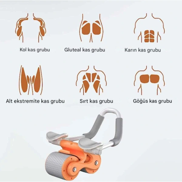 Ab Roller Karın Kası Egzersiz Tekerleği ( Lisinya ) Ab Roller Karın Kası Egzersiz Tekerleği ( Lisinya )