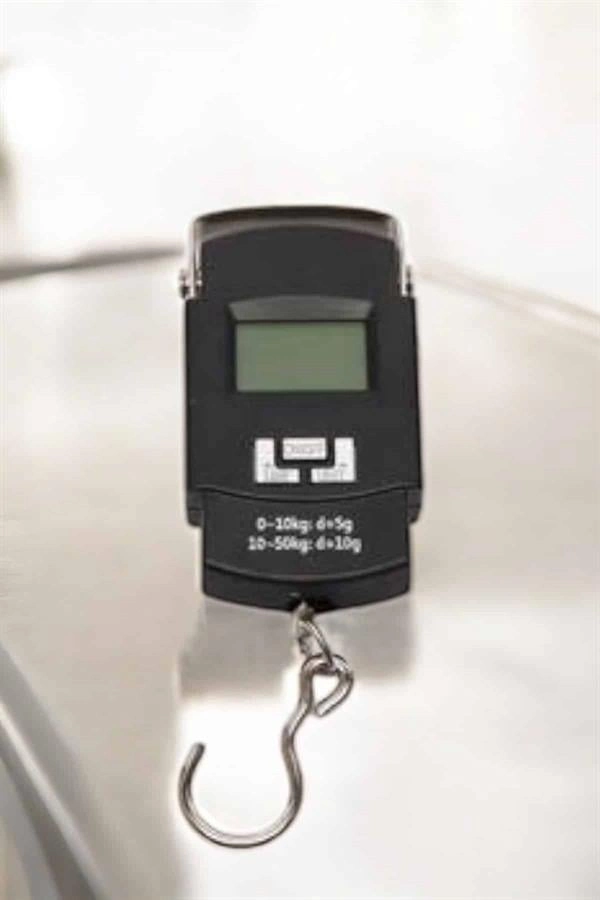 Ağırlık Ölçer 50 Kg El Terazisi El Kantarı Pilli Led Ekran ( Lisinya )