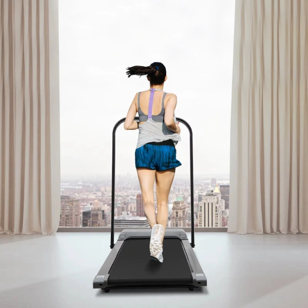 Akıllı Koşu Bandı ( Lisinya )