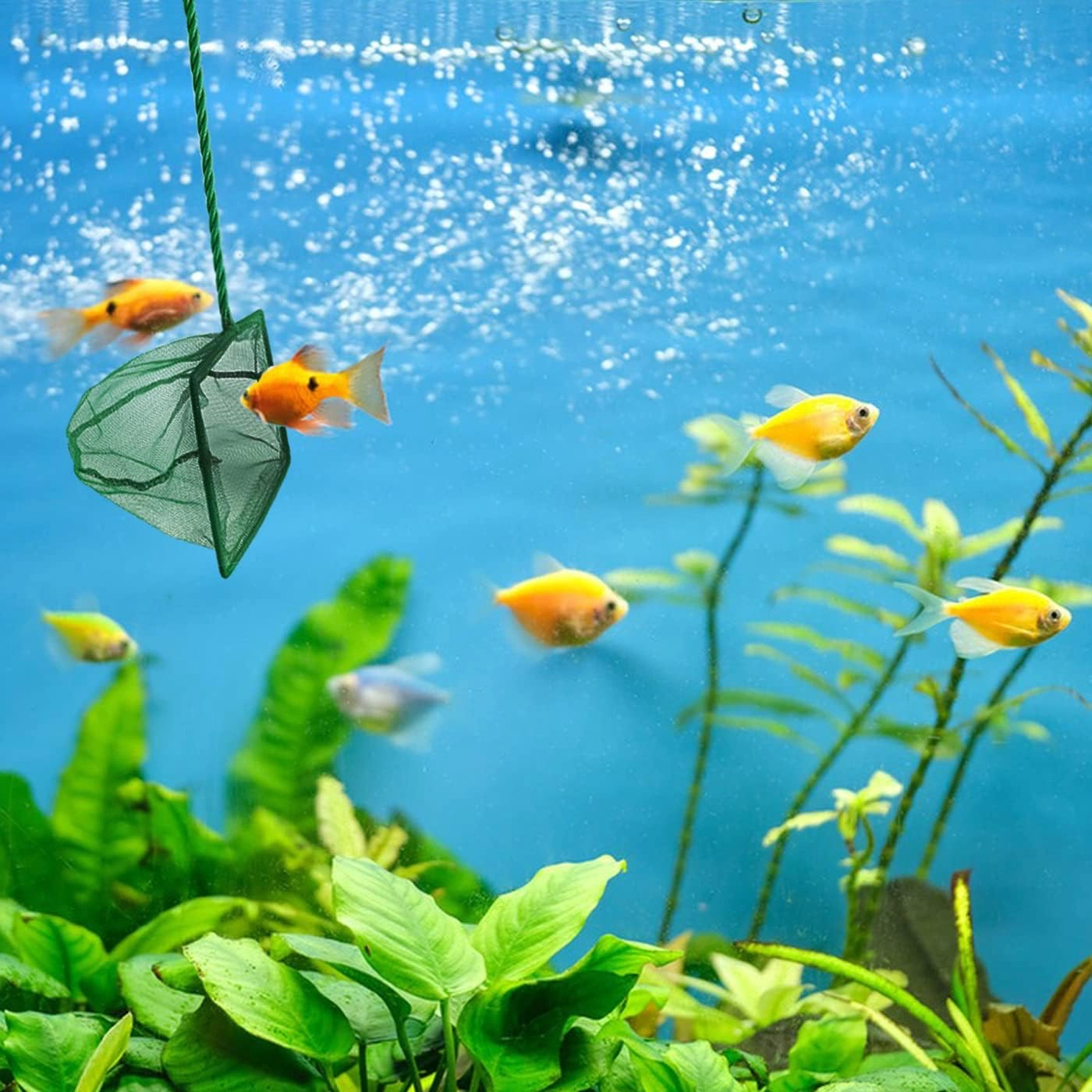 Akvaryum Balık Kepçesi 7.5 Cm. ( Lisinya ) Akvaryum Balık Kepçesi 7.5 Cm. ( Lisinya )