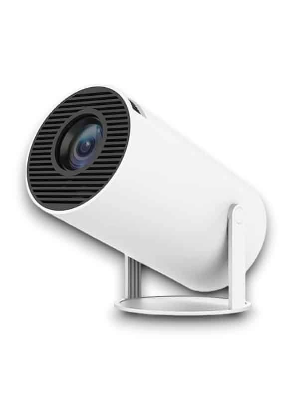 Ayaklı Projeksiyon ( Lisinya )