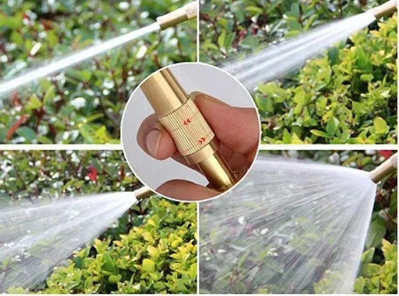 Ayarlanabılır Basınçlı Hortum Başlığı Gold ( Lisinya ) Ayarlanabılır Basınçlı Hortum Başlığı Gold ( Lisinya )