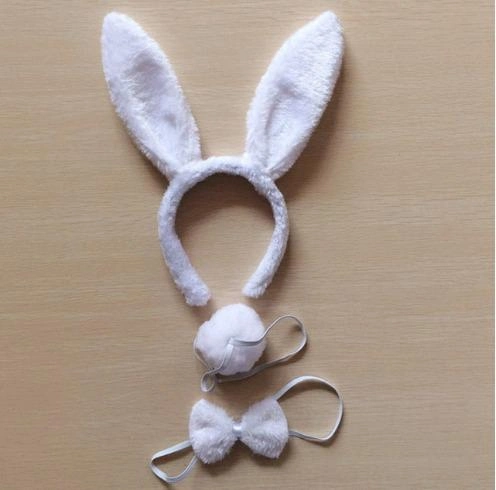 Beyaz Tavşan Kostüm Seti - Taç Papyon Kuyruk ( Lisinya )