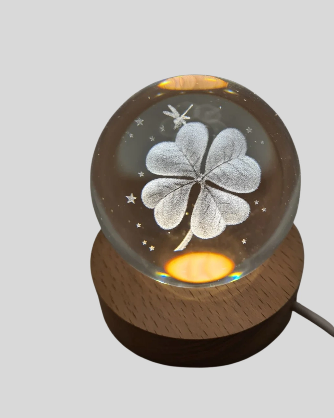 Bitki Temalı Led Işıklı Cam Küre Ahşap Standlı Modern Gece Lambası ( Lisinya )