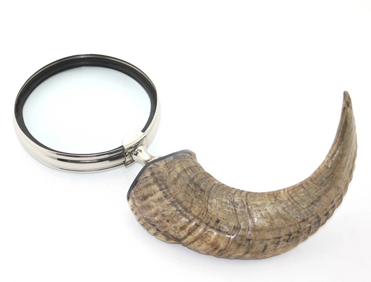 Boynuz Büyüteç Model 2 ( Lisinya )