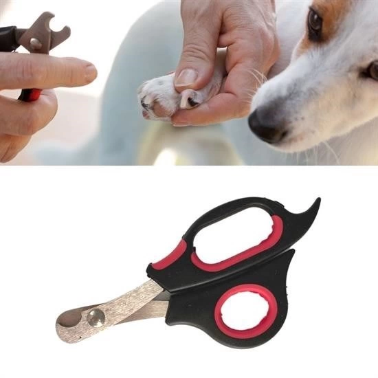 büyük Irk Köpek Kedi Çelik Uçlu Evcil Hayvan Tırnak Makası Pati Bakım Aleti Ergonomik Kaymaz ( Lisinya ) büyük Irk Köpek Kedi Çelik Uçlu Evcil Hayvan Tırnak Makası Pati Bakım Aleti Ergonomik Kaymaz ( Lisinya )