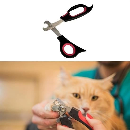 büyük Irk Köpek Kedi Çelik Uçlu Evcil Hayvan Tırnak Makası Pati Bakım Aleti Ergonomik Kaymaz ( Lisinya ) büyük Irk Köpek Kedi Çelik Uçlu Evcil Hayvan Tırnak Makası Pati Bakım Aleti Ergonomik Kaymaz ( Lisinya )