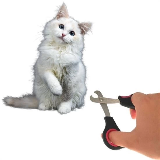 büyük Irk Köpek Kedi Çelik Uçlu Evcil Hayvan Tırnak Makası Pati Bakım Aleti Ergonomik Kaymaz ( Lisinya ) büyük Irk Köpek Kedi Çelik Uçlu Evcil Hayvan Tırnak Makası Pati Bakım Aleti Ergonomik Kaymaz ( Lisinya )