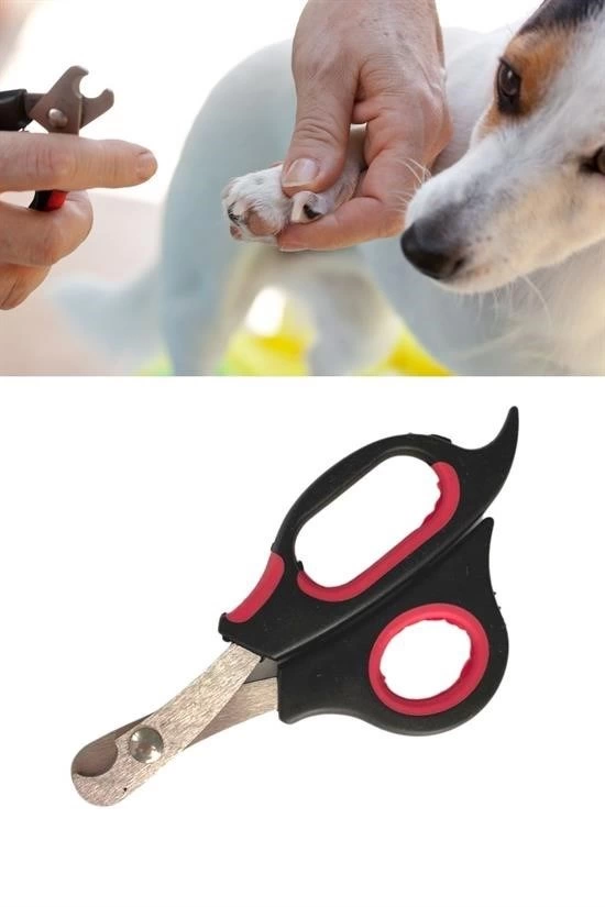 büyük Irk Köpek Kedi Çelik Uçlu Evcil Hayvan Tırnak Makası Pati Bakım Aleti Ergonomik Kaymaz ( Lisinya ) büyük Irk Köpek Kedi Çelik Uçlu Evcil Hayvan Tırnak Makası Pati Bakım Aleti Ergonomik Kaymaz ( Lisinya )