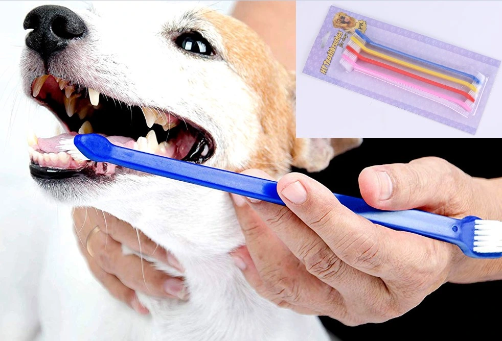 Çıft Taraflı Hayvan Dış Firçası 4 Lü Set ( Lisinya ) Çıft Taraflı Hayvan Dış Firçası 4 Lü Set ( Lisinya )