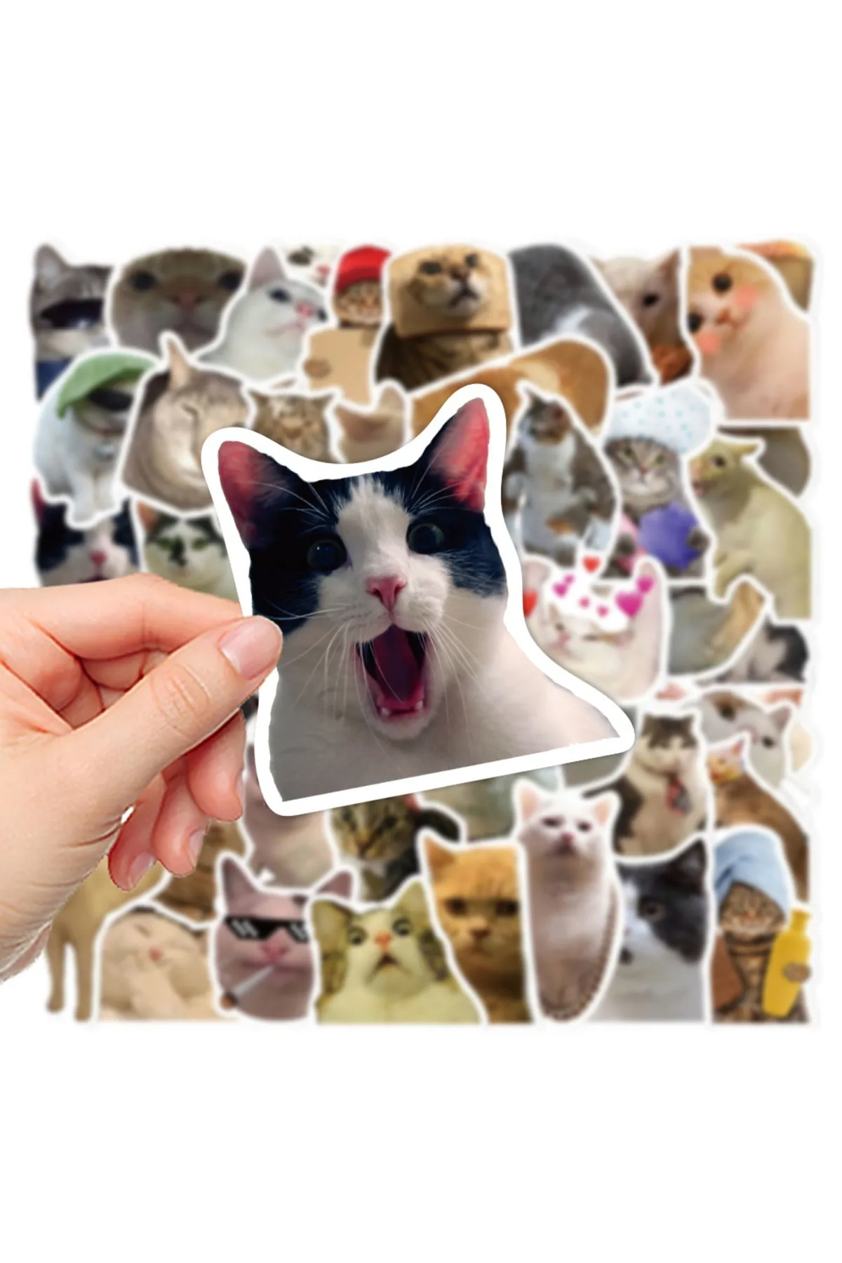 Çılgın Kediler Macbook Notebook Tablet Telefon Ajanda Laptop Defter Sticker Seti ( Lisinya ) Çılgın Kediler Macbook Notebook Tablet Telefon Ajanda Laptop Defter Sticker Seti ( Lisinya )